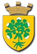 Bormla Coat of Arms